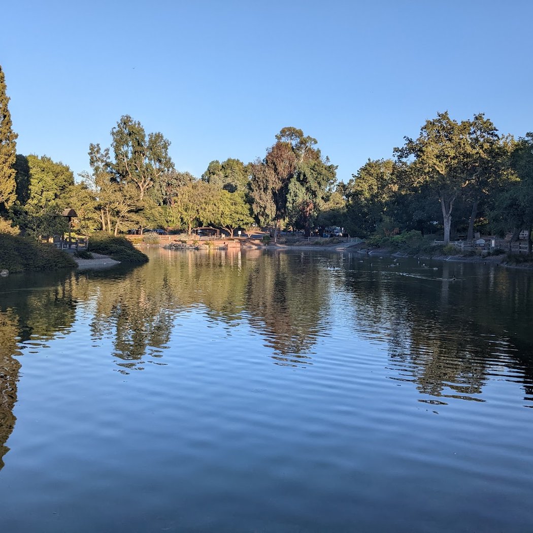 Sharon Park 2