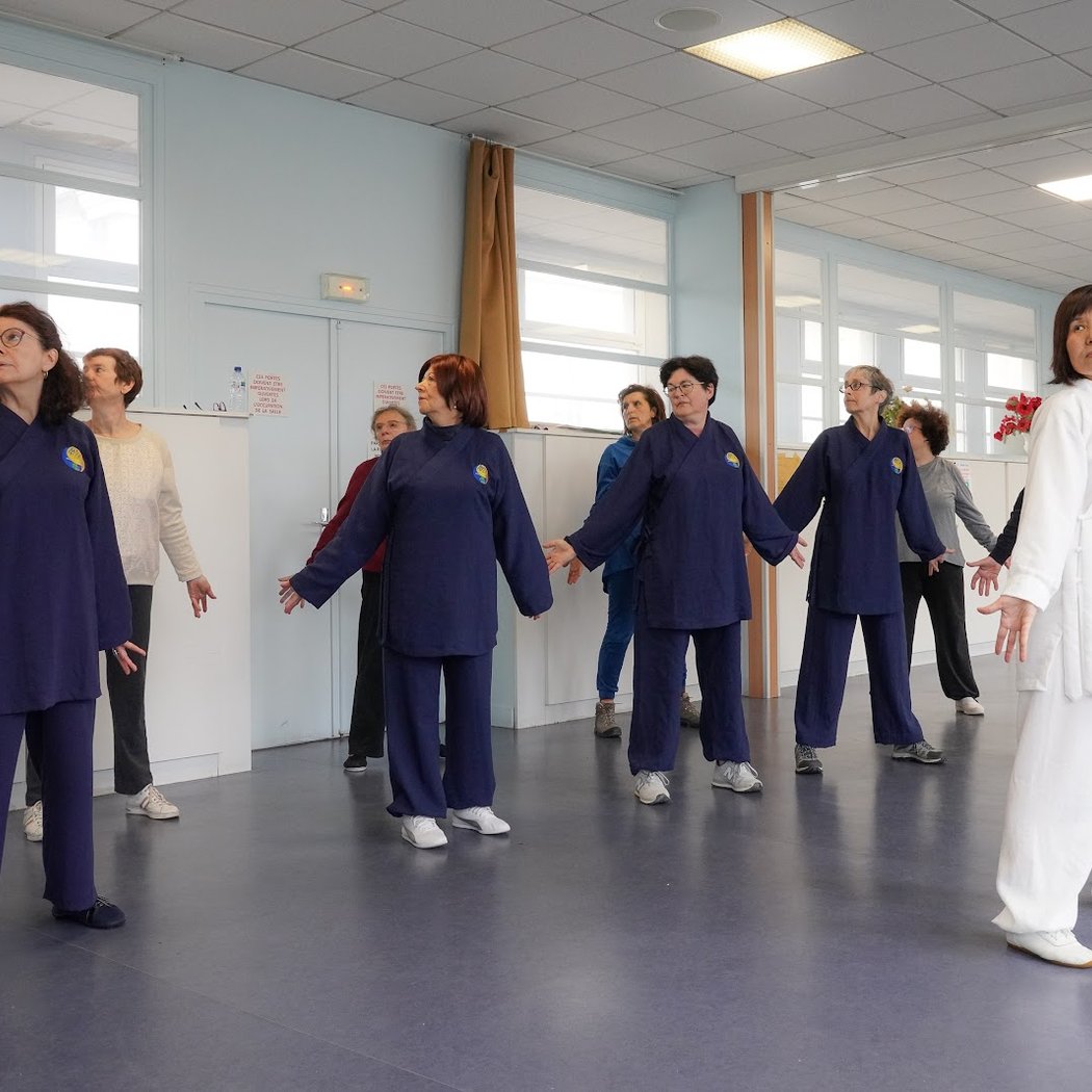 Jin Ling France Course Qi Gong And Tai Ji Quan Sceaux 92 2