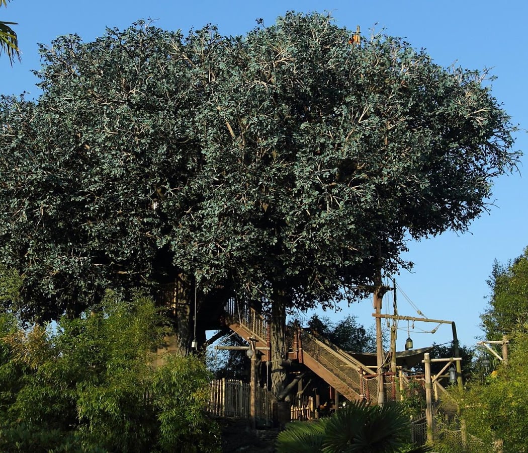 Swiss Family Treehouse 1992 2