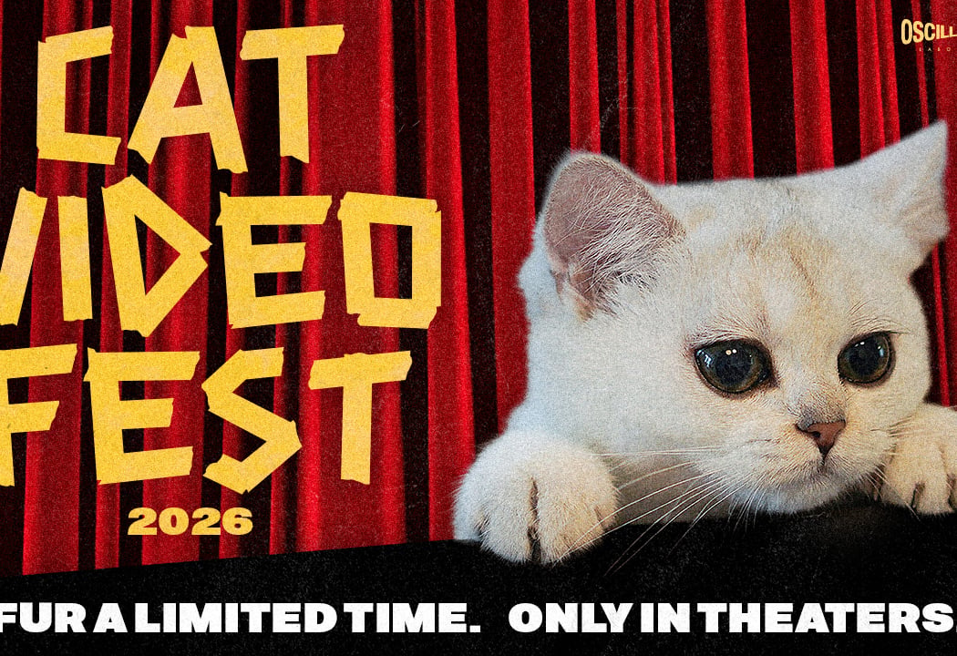 CatVideoFest 2026 1
