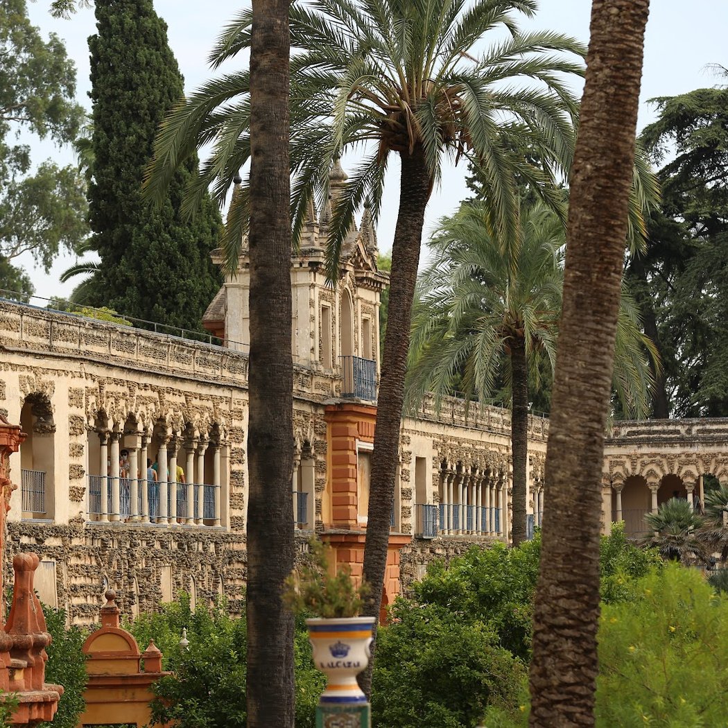 Patio de Doncellas 3