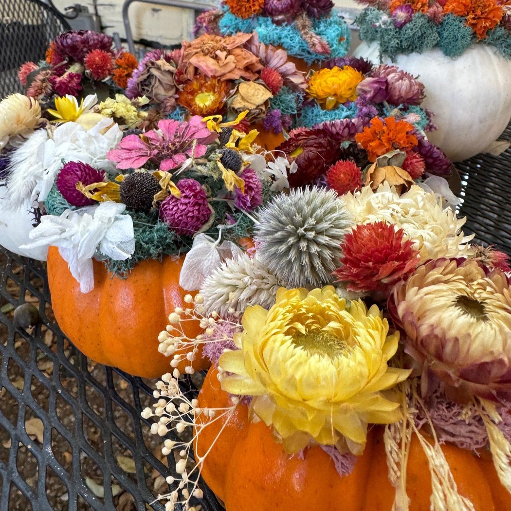 Dried Flower Pumpkins Workshop 3
