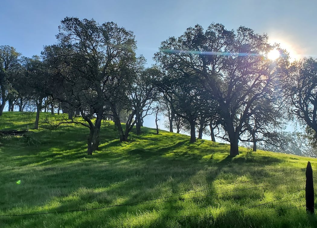 Black Diamond Hiking Trail Near Oakhurst 1