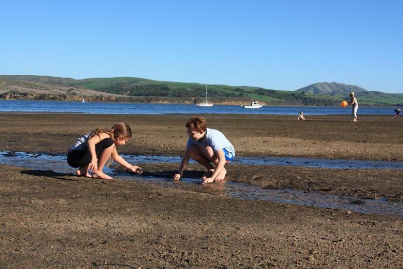 Chicken Ranch Beach 5