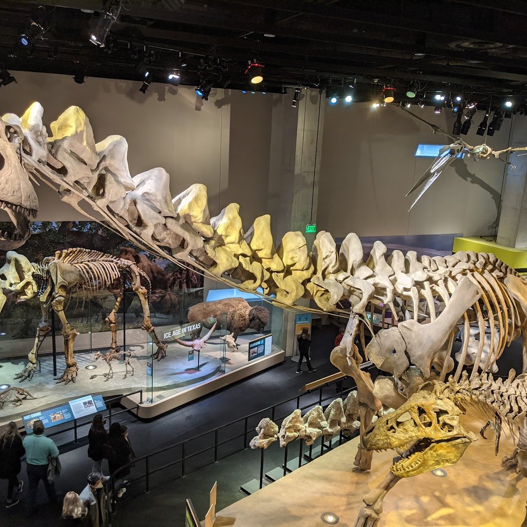 Perot Museum of Nature and Science 5