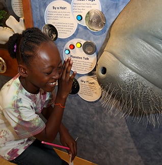 Lyonia Environmental Center 1