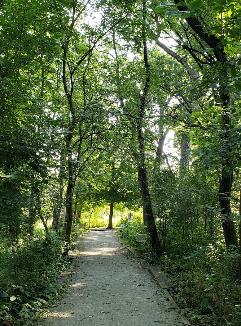 Summer Solstice Night Hike 2