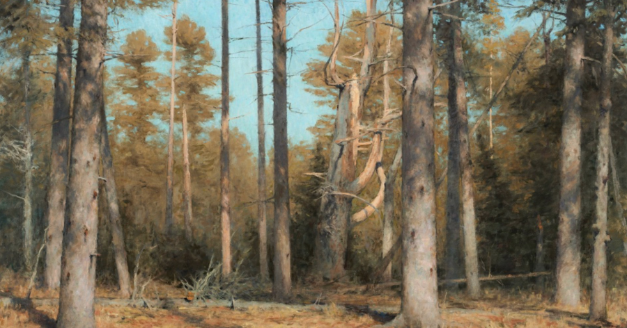 TREES : HOMAGE TO FOLIAGE