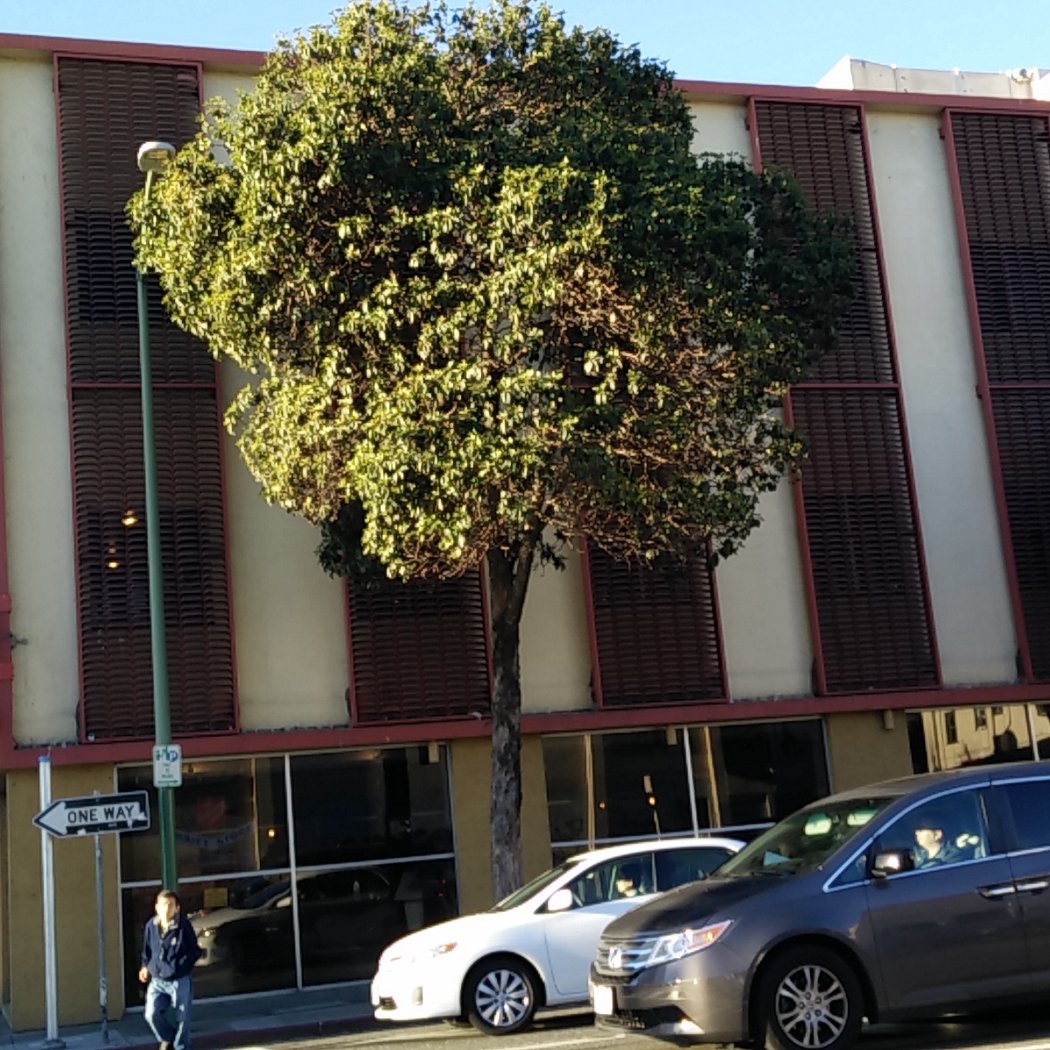 The Salvation Army Thrift Store & Donation Center 2