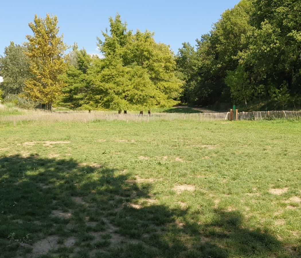 Parc à chien de la Lironde 3