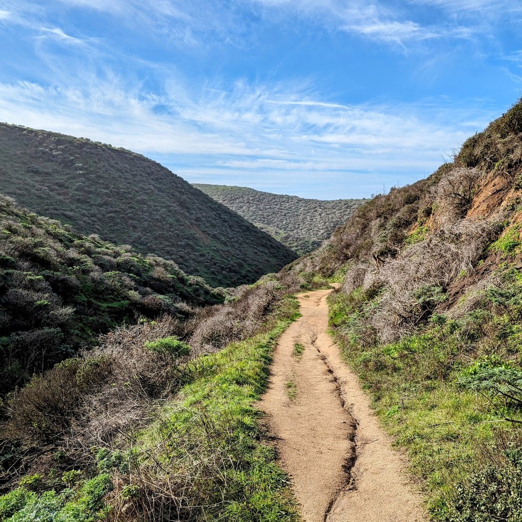 McClures Beach Trailhead 3