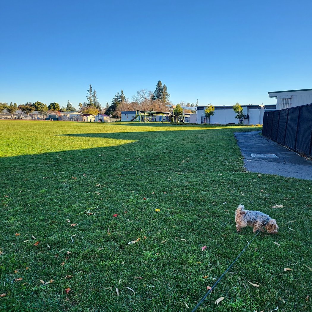 Stevenson Baseball Field 3