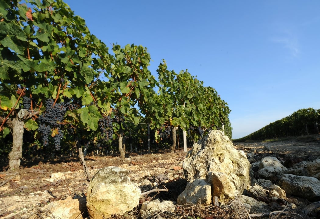 Château Doyac 2