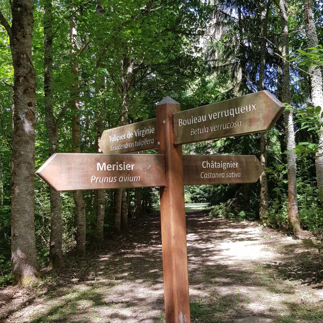 Arboretum des Bordins 2