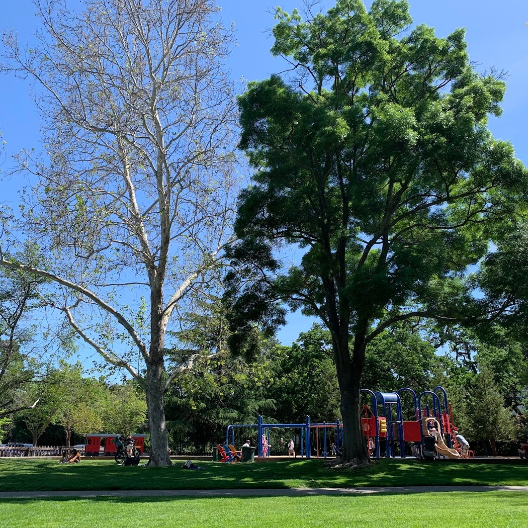 Civic Park Playground 2