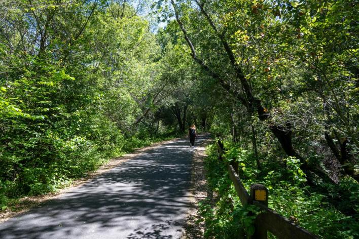 Lafayette/Moraga Regional Trail 1