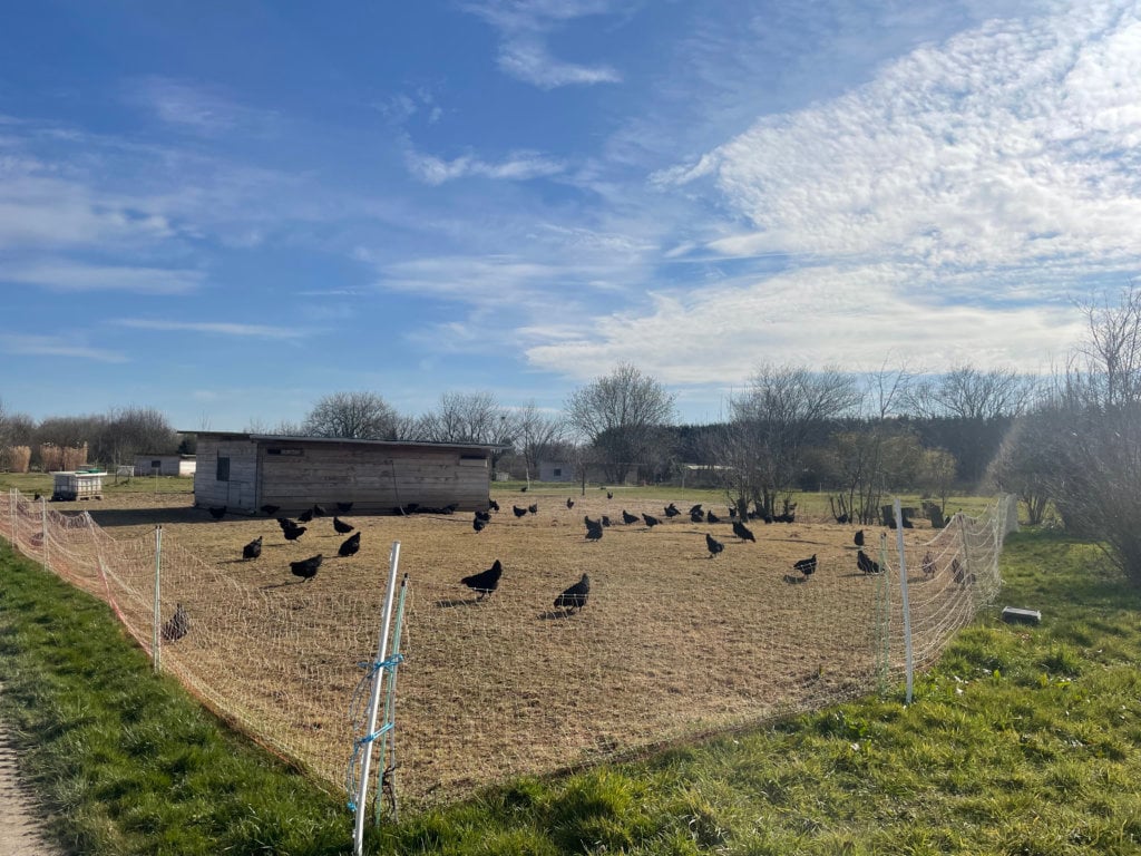 Ferme bio du plateau Briard 3