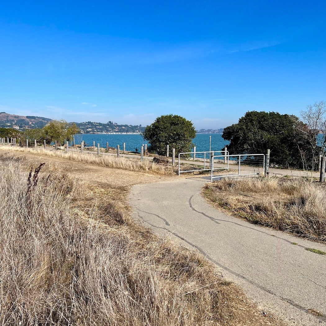 Shoreline Trail 1