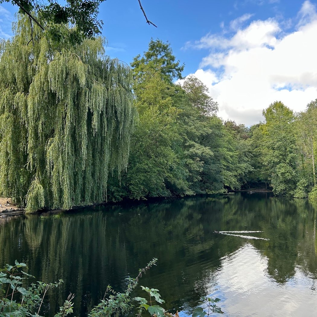 Waterlow Park 1