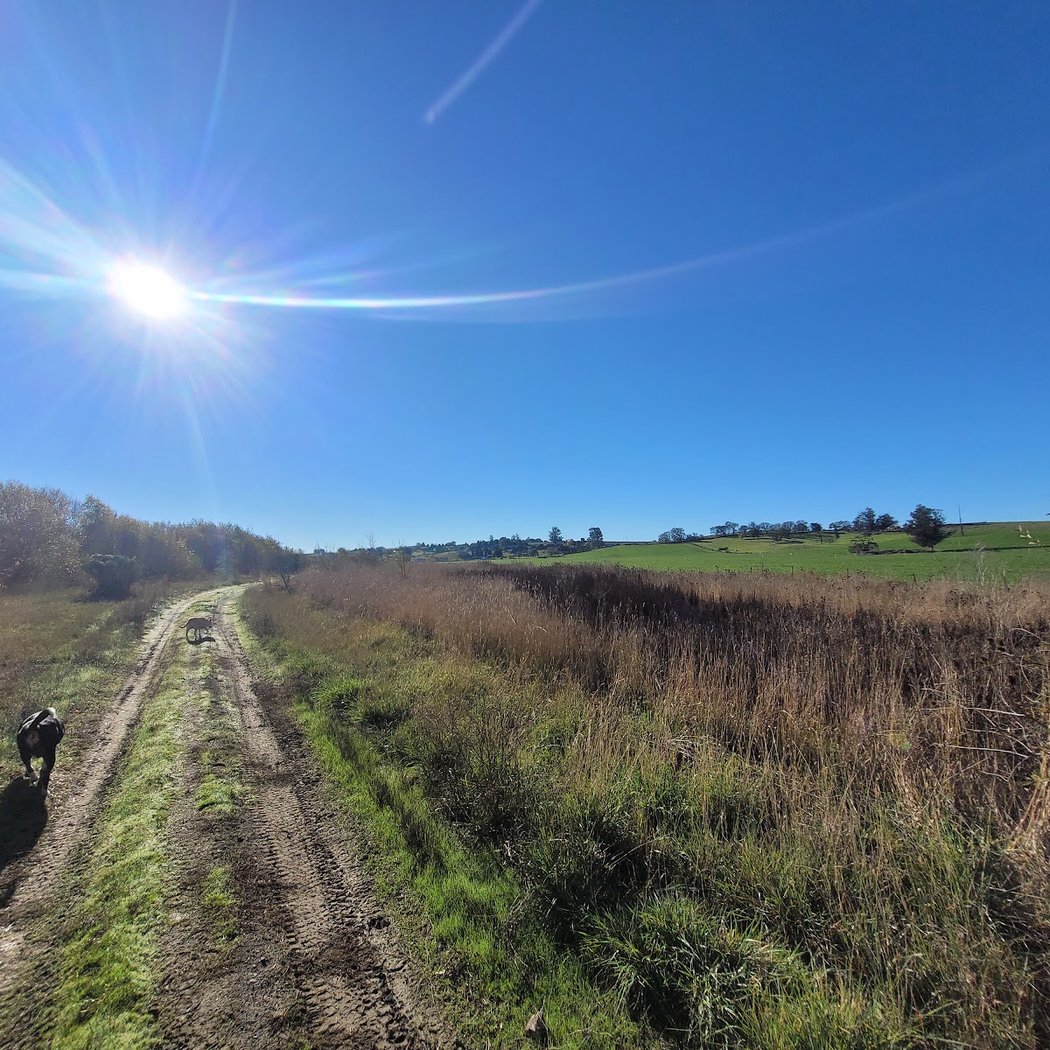 Southern Laguna Discovery Trail 1