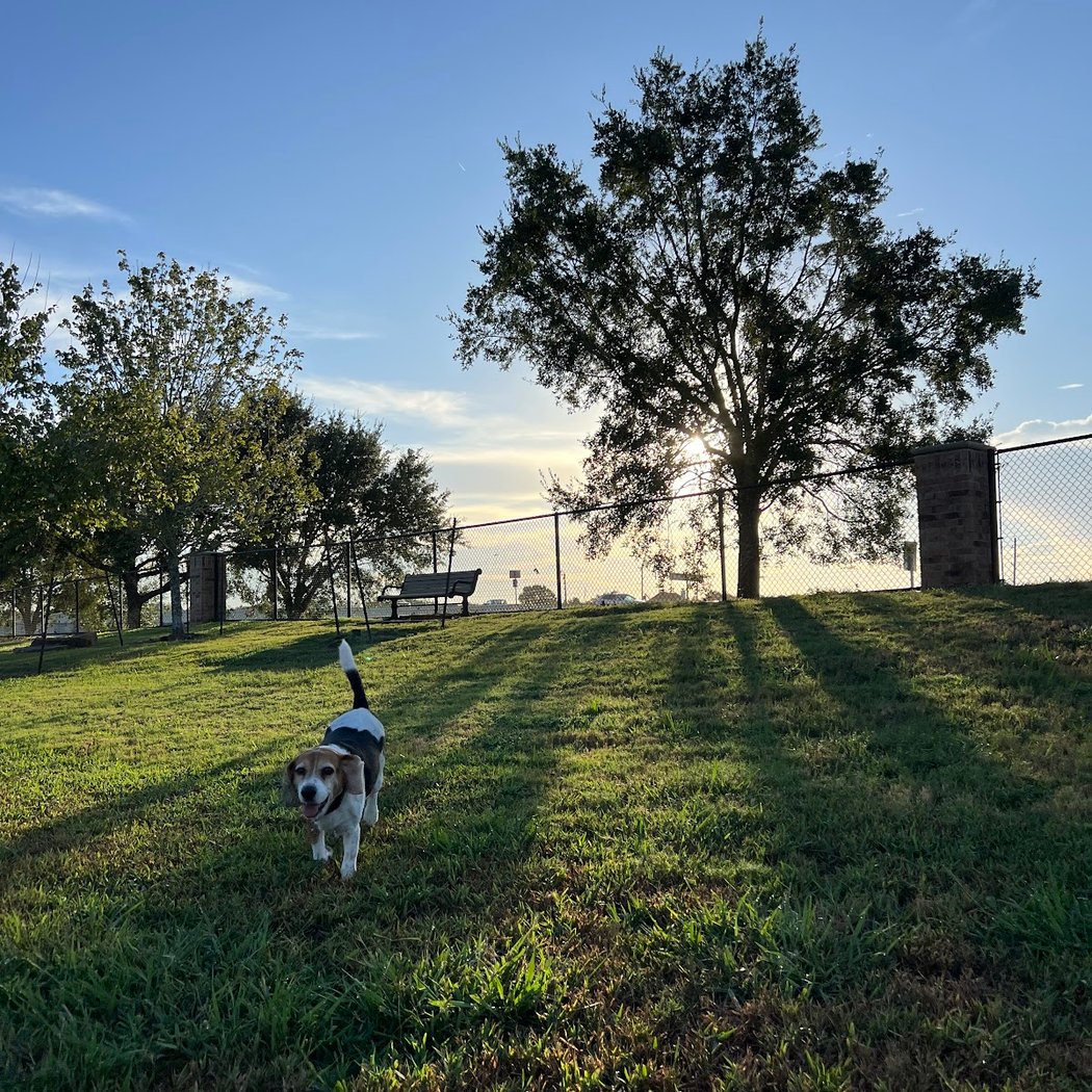 River Park Bark Park 1