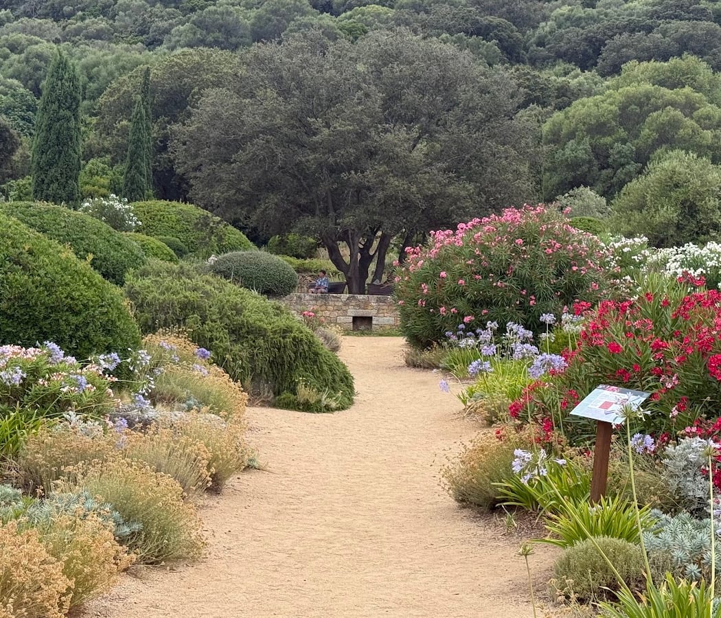 Parc of Saleccia 3