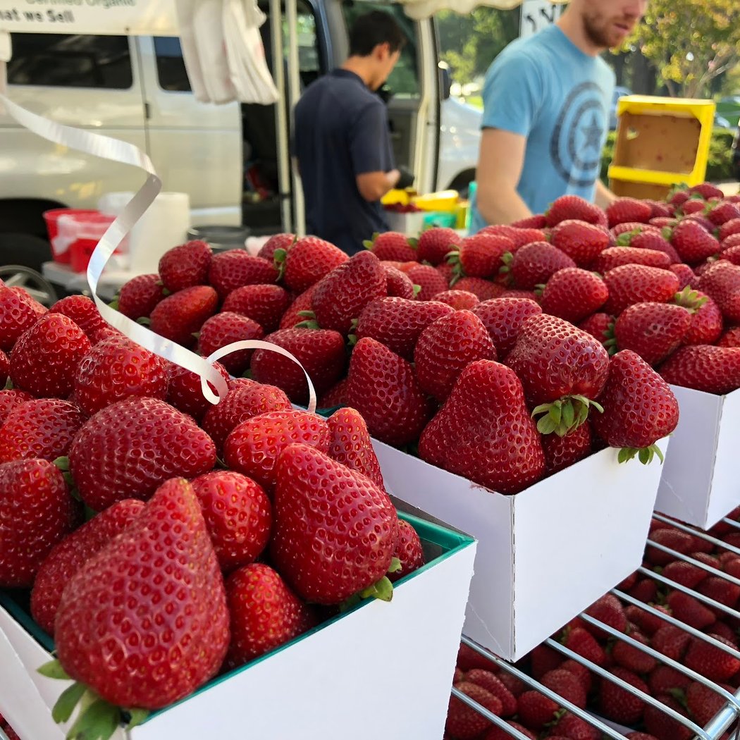 Saratoga Village Farmers’ Marketplace 1