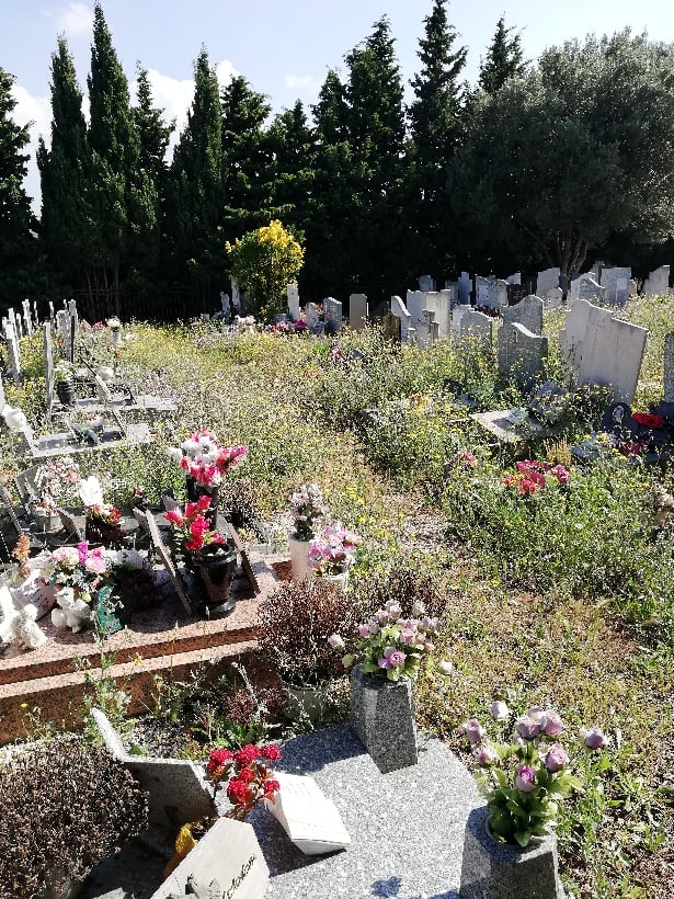 Cimetière du Canet - Marseille 14 2
