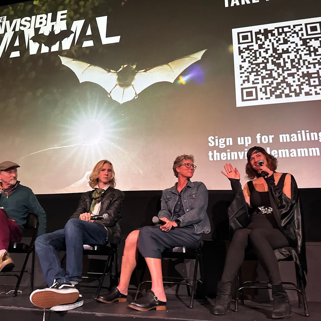 The 28th San Francisco Independent Film Festival 1