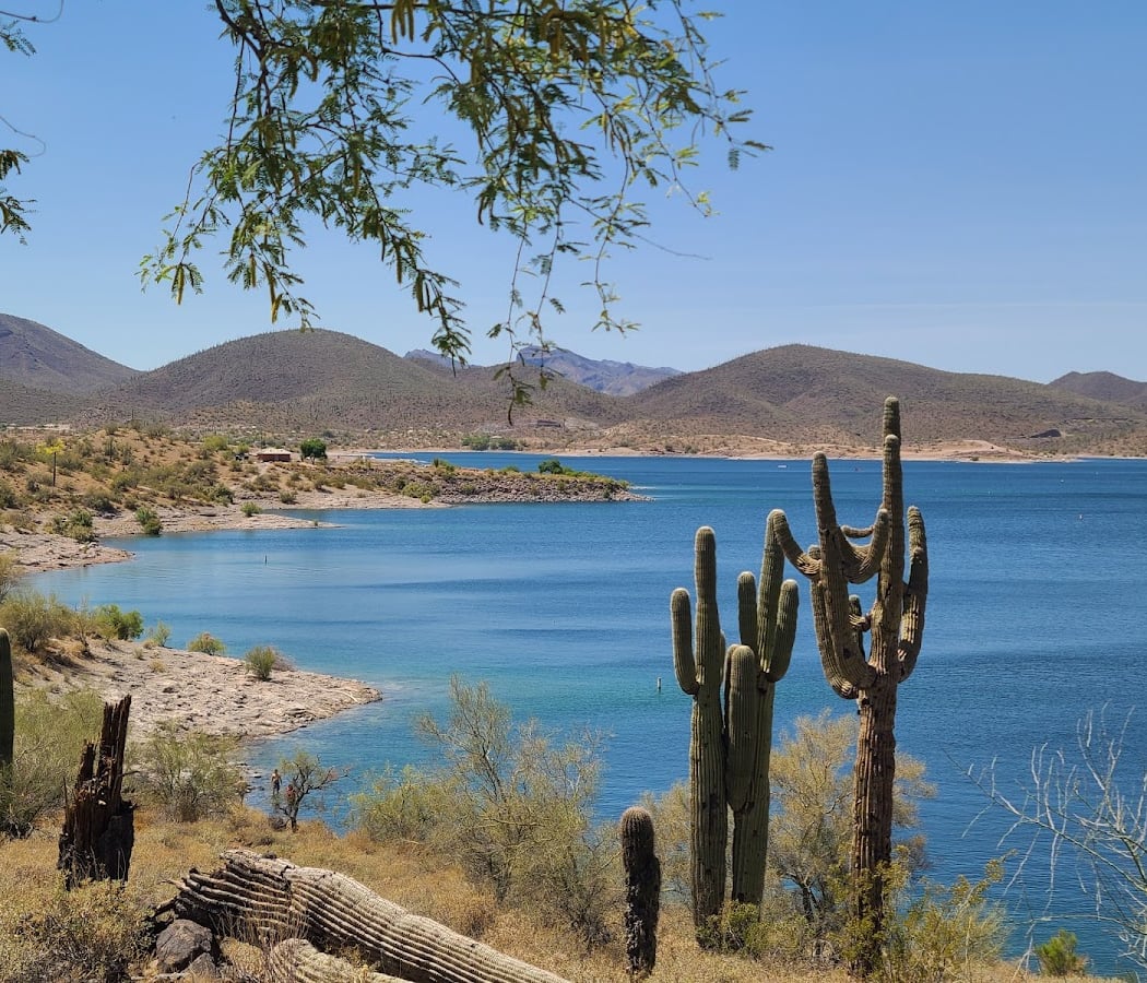 Cactus Hike 2