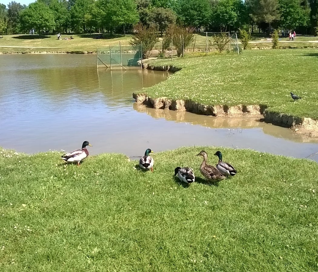 Parco di Serravalle 2