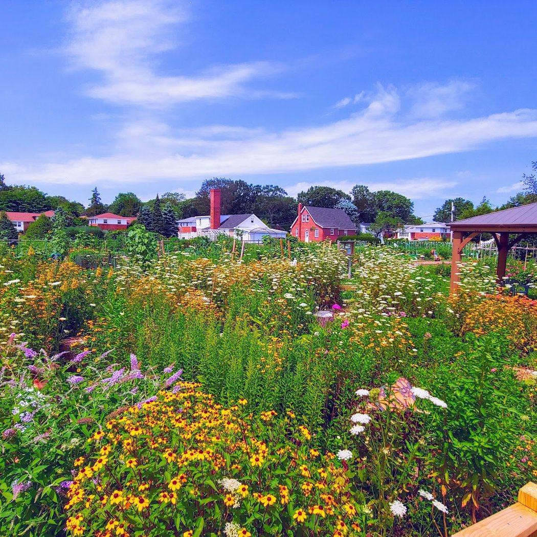 East Meadow Farm 1