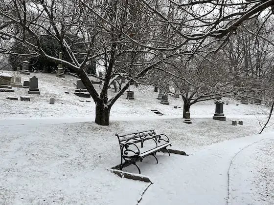 Mindfulness in Nature (Members Only) 1