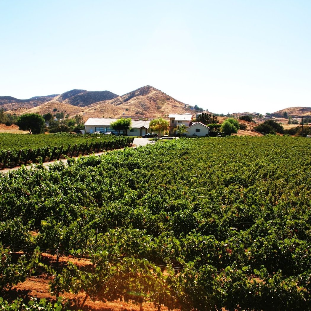 Reyes Winery 3