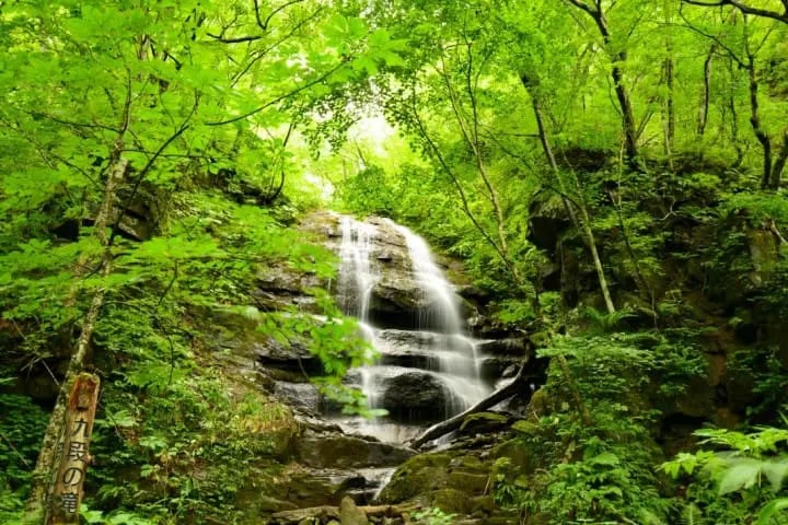 Mt. Mitake Rengeshoma Festival 2
