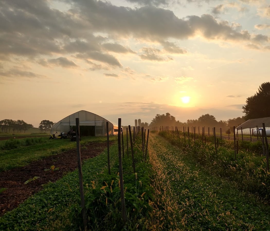 Composting 101: Compost Like a Pro 1