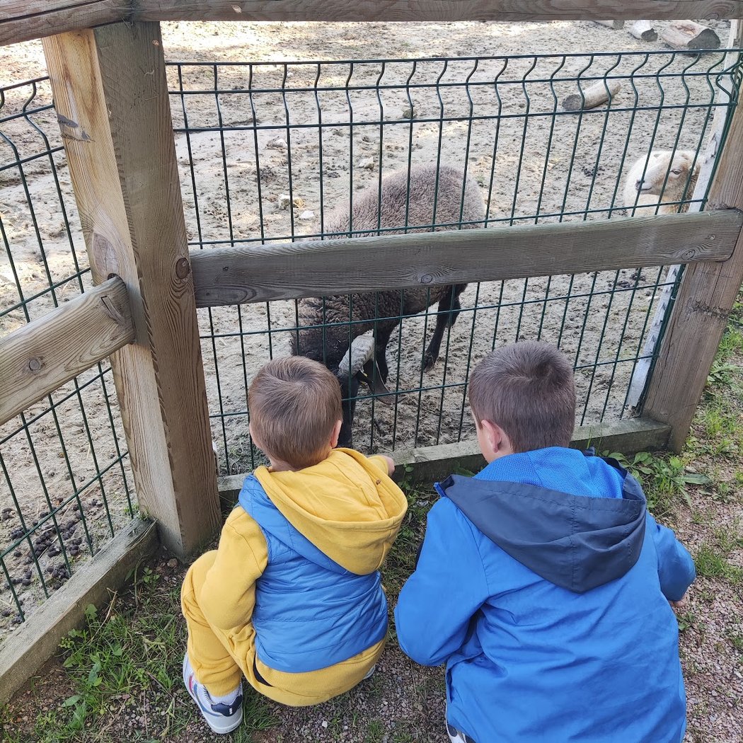 Mini Educational Farm Du Centre Équestre De Bry Sur Marne 3