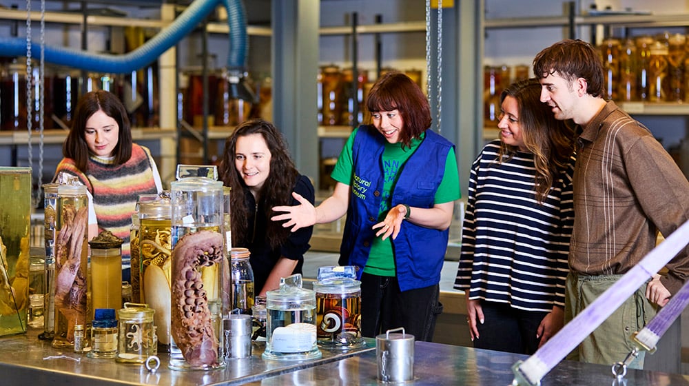 Behind the Scenes Tour: Spirit Collection
