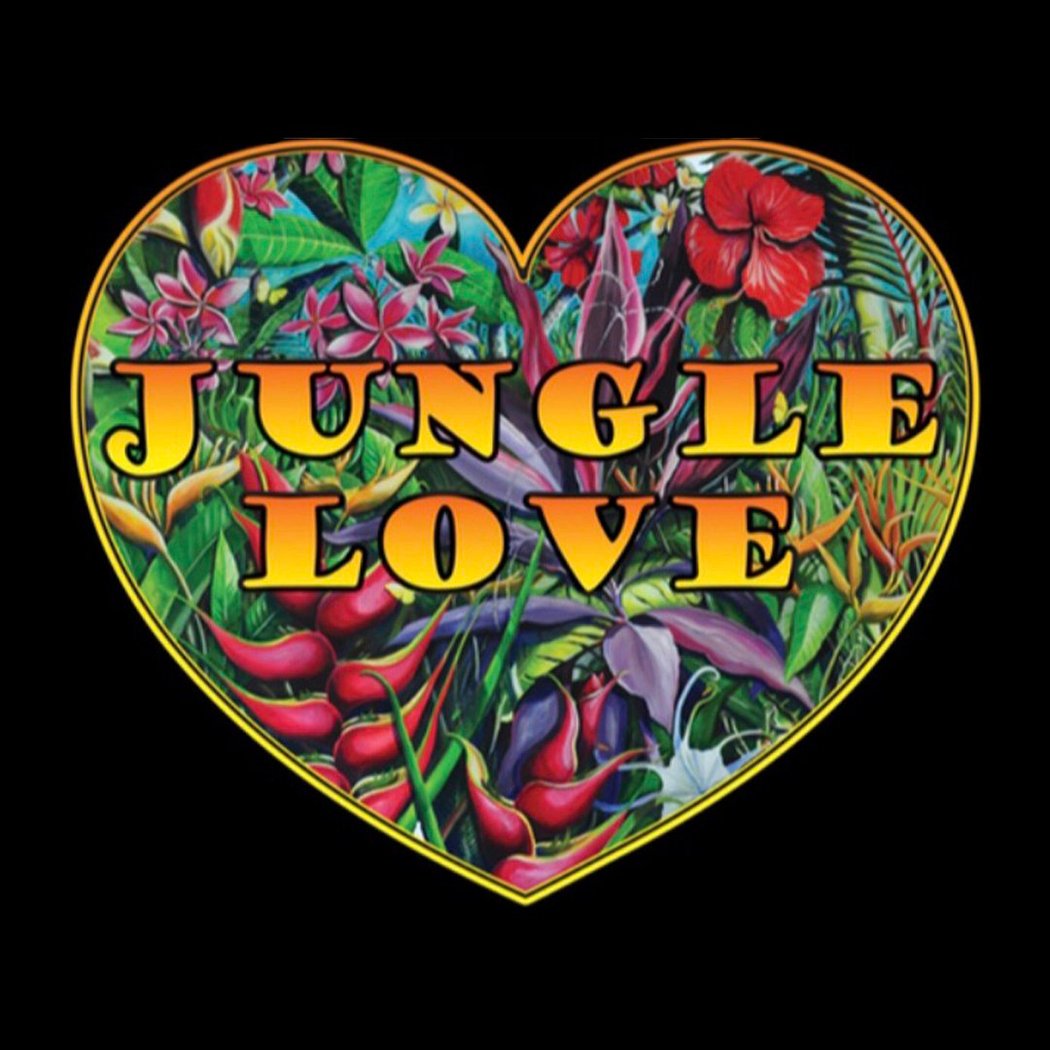 Valentine's Day Dance - Jungle Love 1