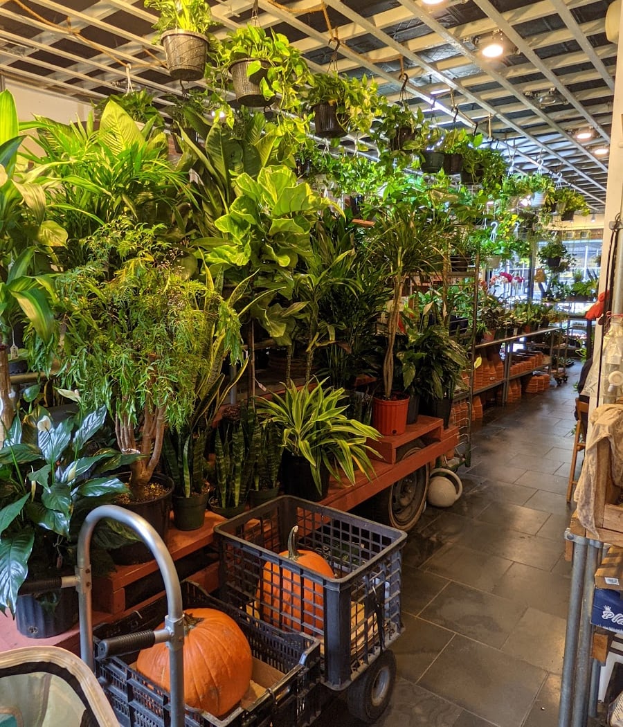 Botanica Garden Center 3