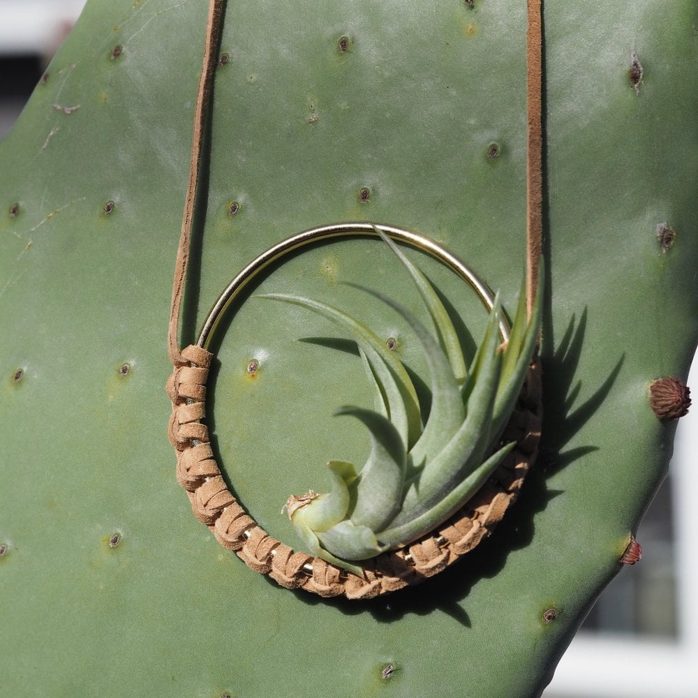 Brass and Leather Air Plant Hangers Workshop 3