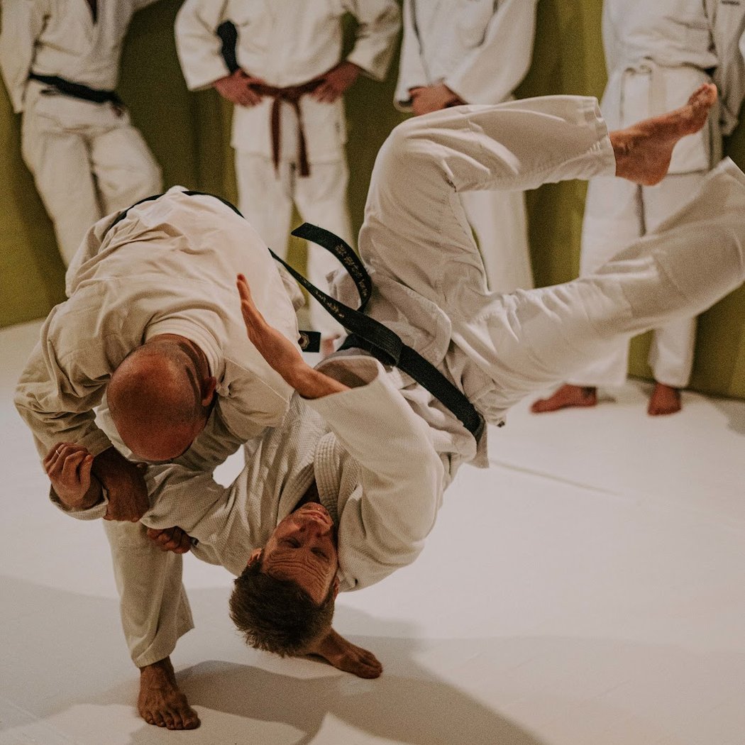 Cours de Qi Gong / Jujitsu / Judo / JJB 1