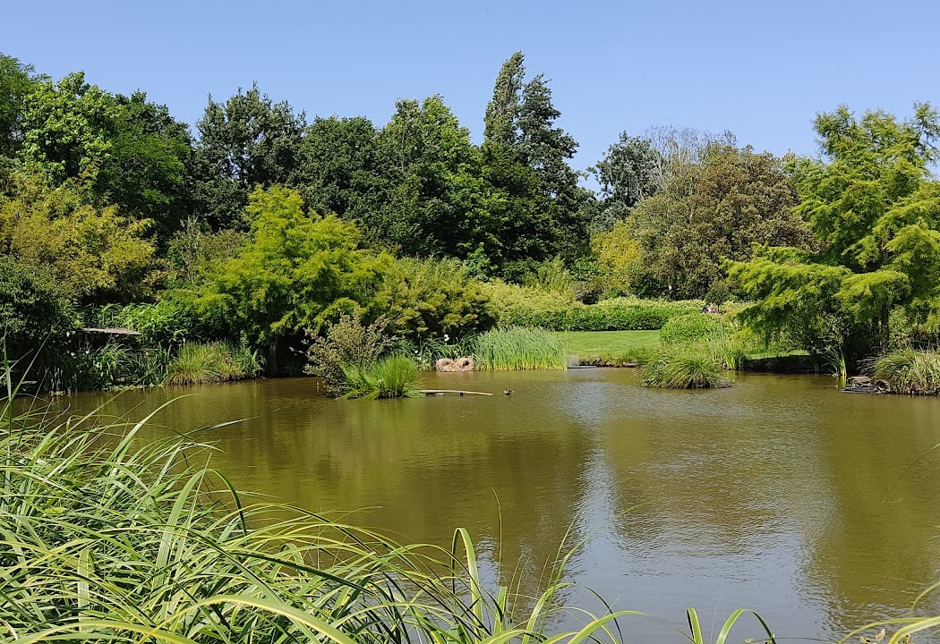Beaumont Garden 1