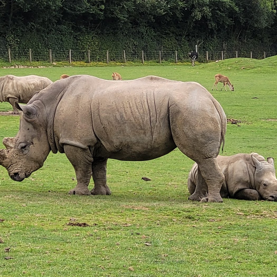 Zoo de Cerza 1