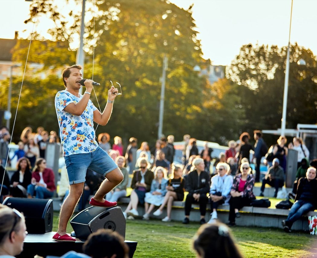 Karaoke Night in the Park 2