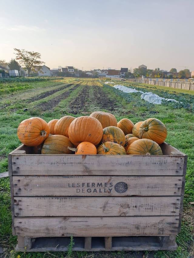 Les Fermes De Gally Farm Ouverte, Vente Directe 1
