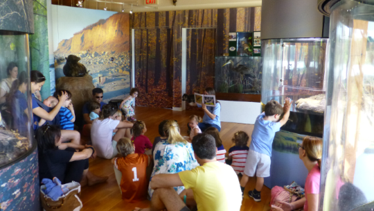 Food Chain Stories and Feed the Animals 2