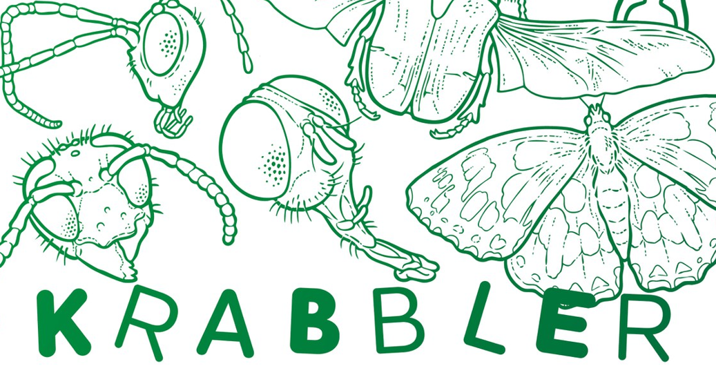 Krabbler – unheimlich faszinierend