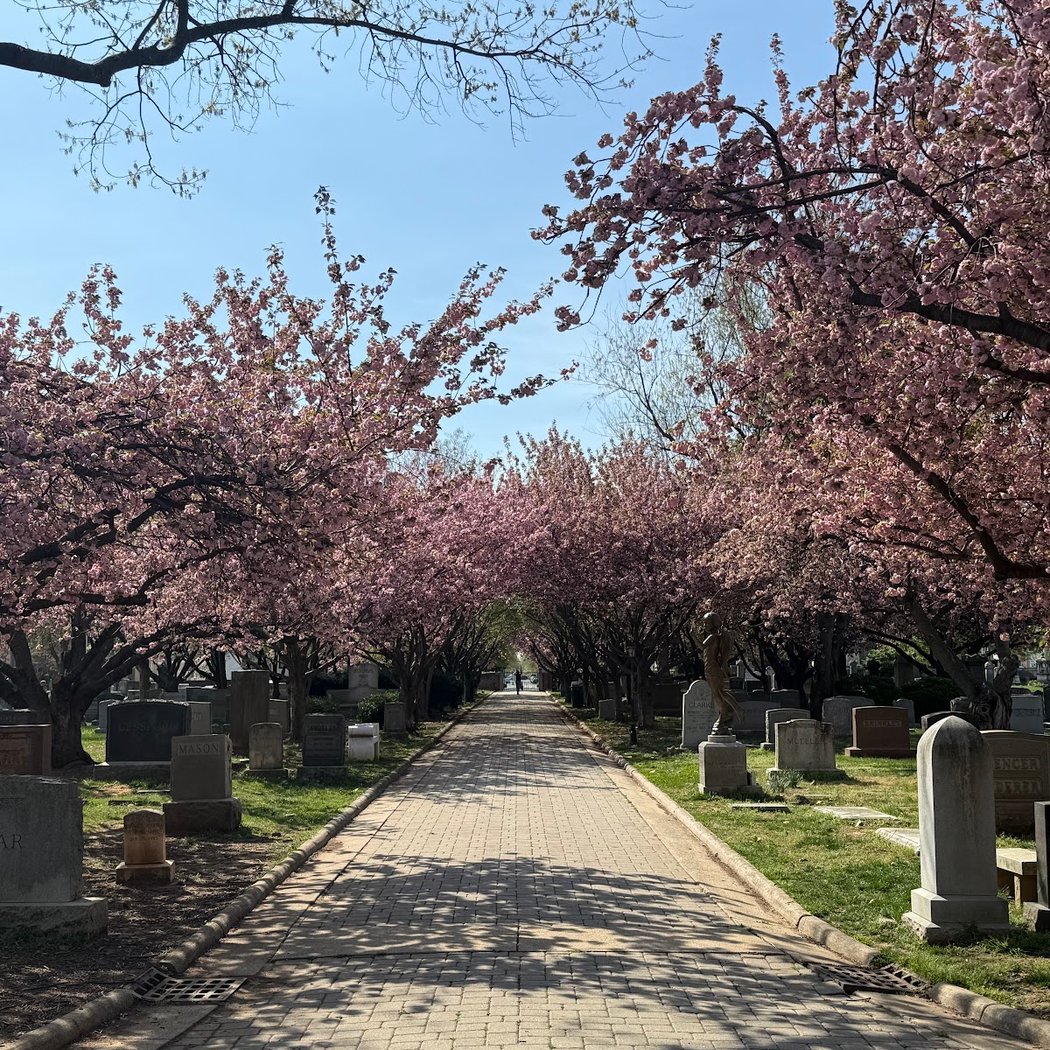 Congressional Cemetery Introductory Tour 3