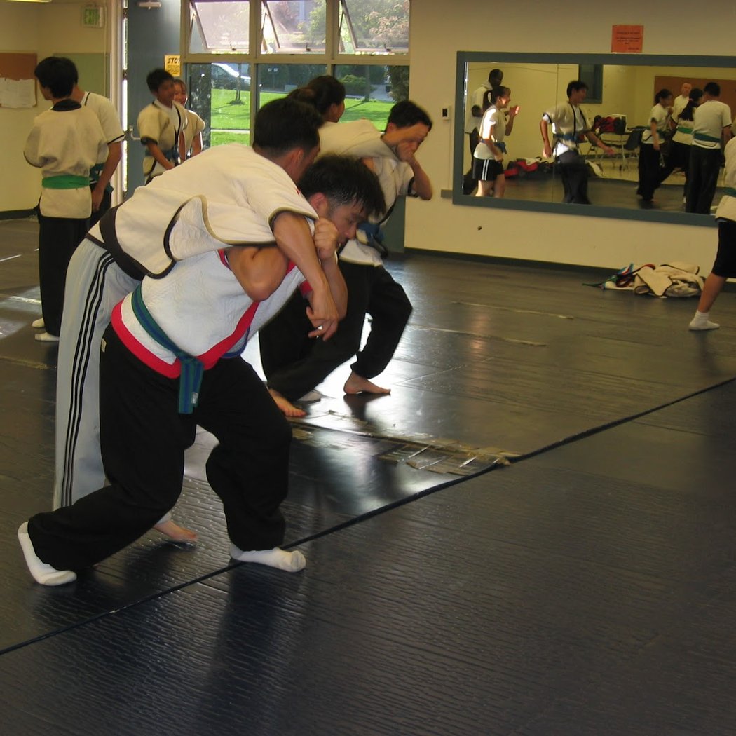 Cupertino Kung-fu club 2